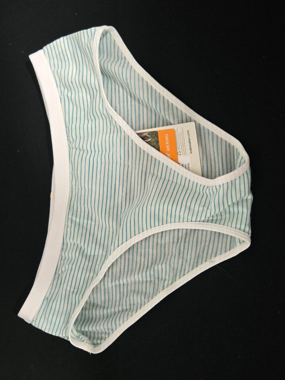 Icebreaker Merino Wool Bikini Briefs NWT Women's XS Striped Lightweight Base Lay